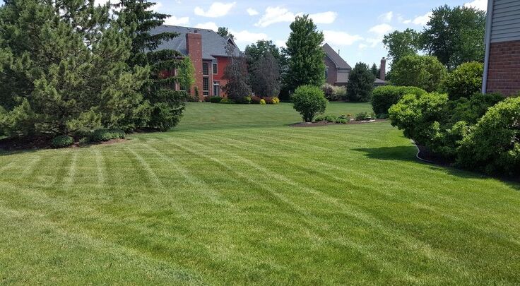 Emerald Fresh Living lawn services